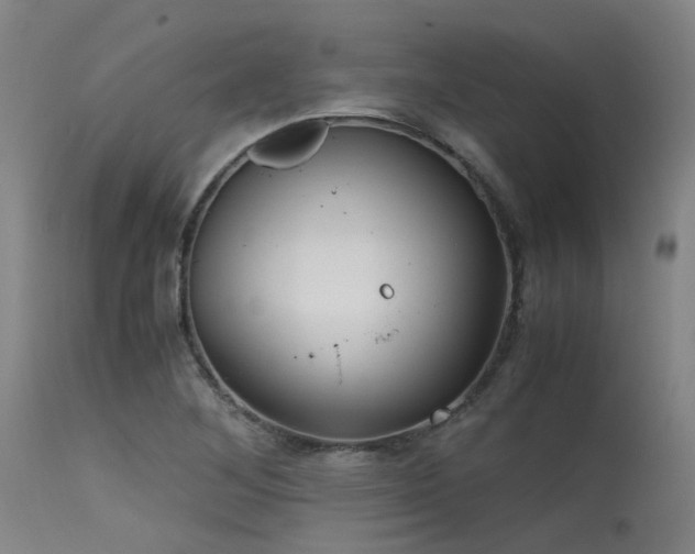 X0000115641268200911101508