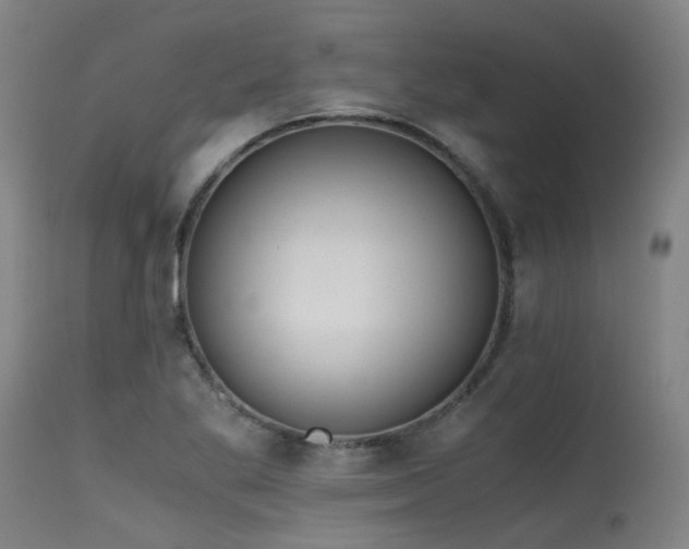 X0000115641269200911101508