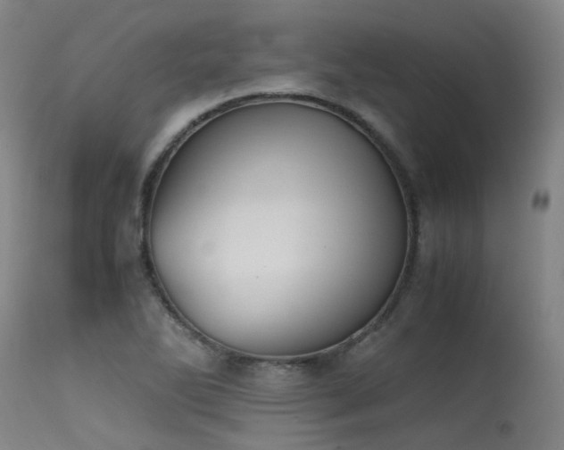 X0000115641270200911101508