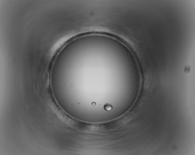 X0000115641271200911101508