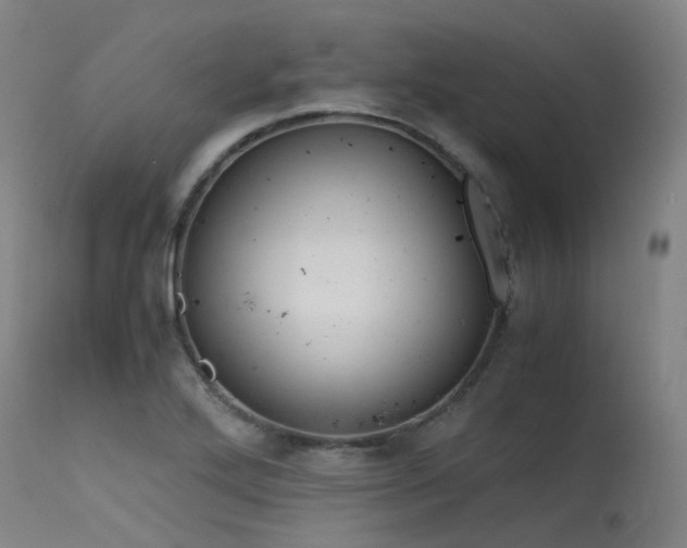X0000115641272200911101508