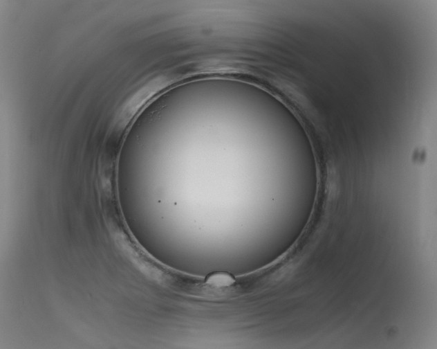 X0000115641273200911101508