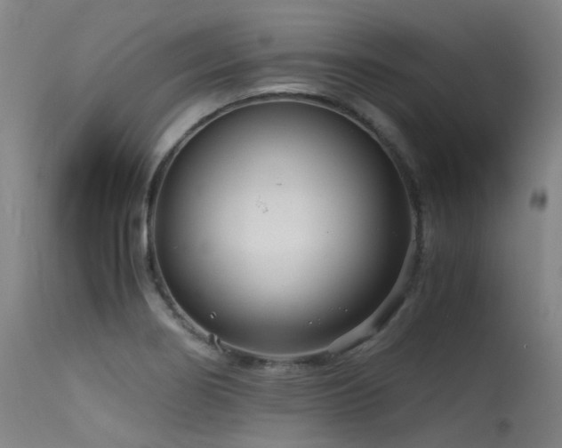 X0000115641274200911101508