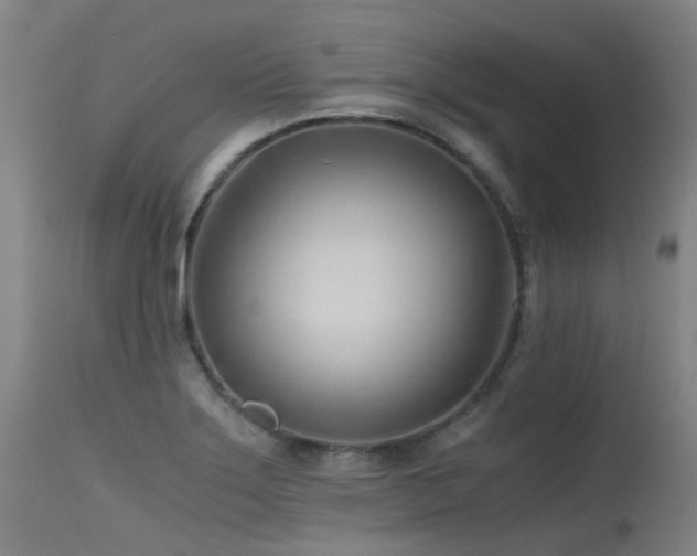 X0000115641275200911101508