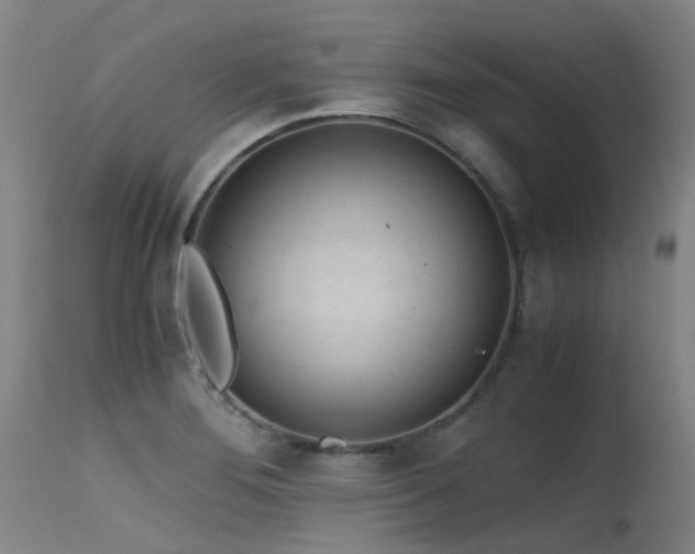 X0000115641276200911101508