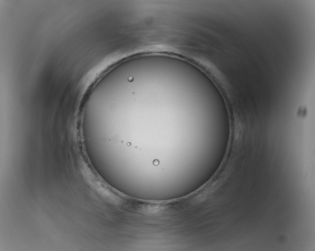 X0000115641278200911101508