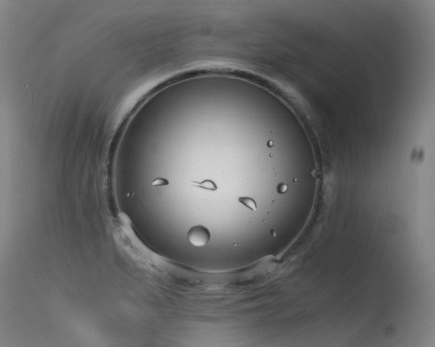 X0000115641279200911101508