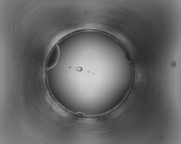 X0000115641280200911101508