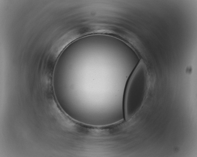 X0000115641281200911101508