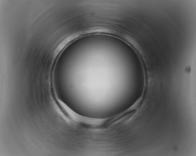 X0000115641282200911101508