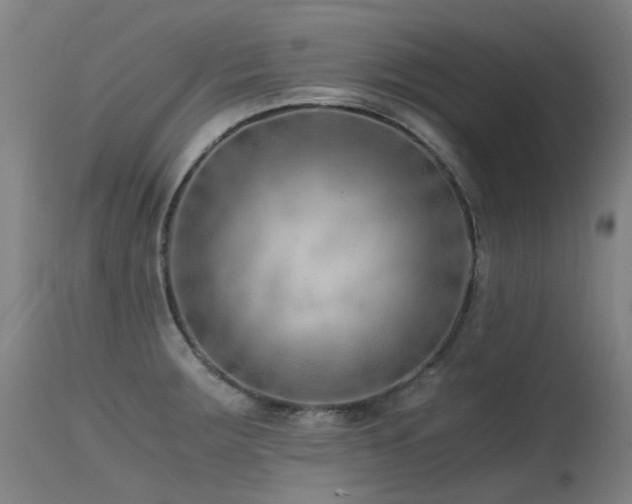 X0000115641283200911101508