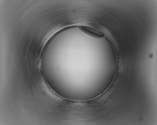 X0000115641284200911101508