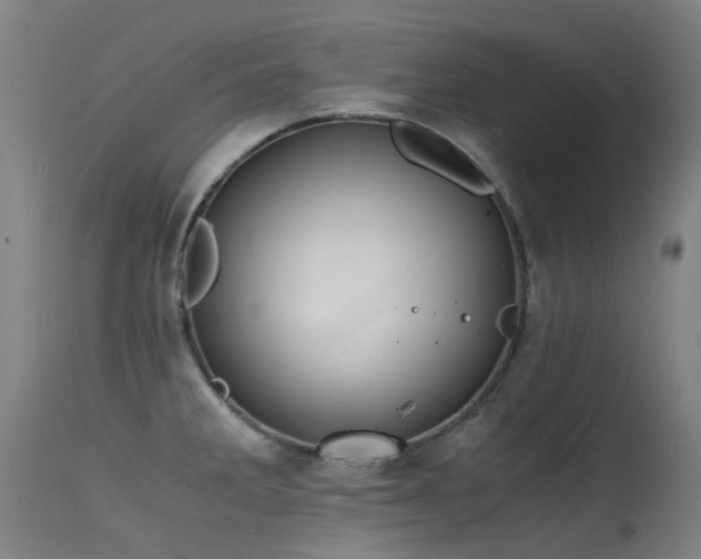 X0000115641285200911101508