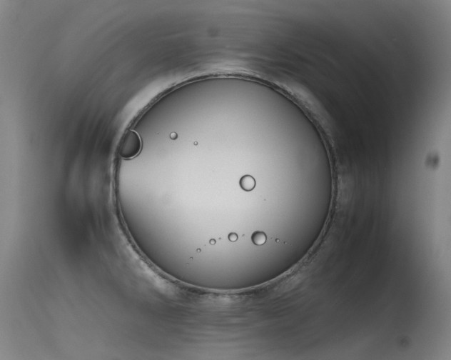 X0000115641286200911101508