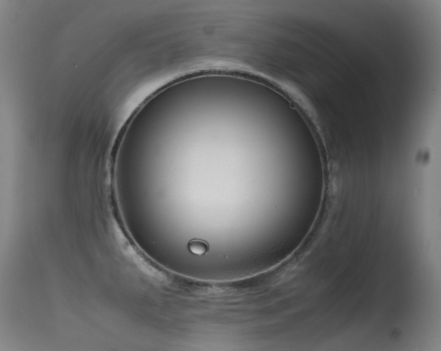 X0000115641287200911101508
