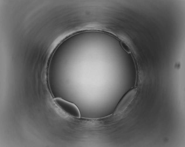 X0000115641288200911101508