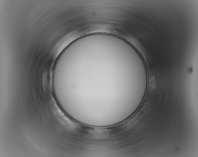 X0000115641290200911101508