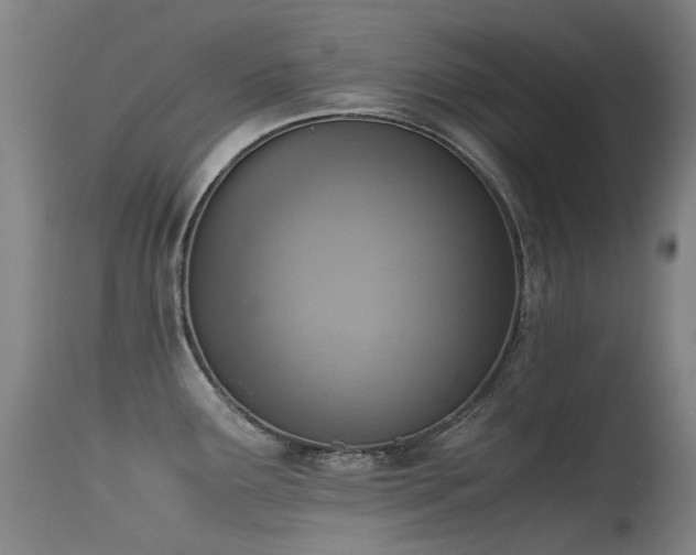 X0000115641291200911101508