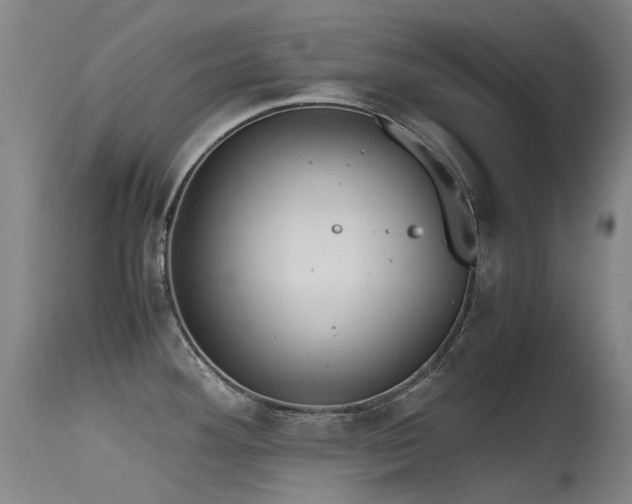 X0000115641292200911101508