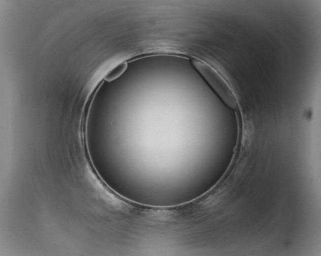 X0000115641293200911101508
