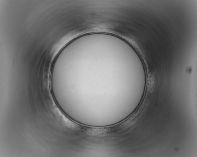 X0000115641294200911101508