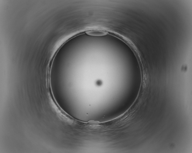 X0000115641295200911101508
