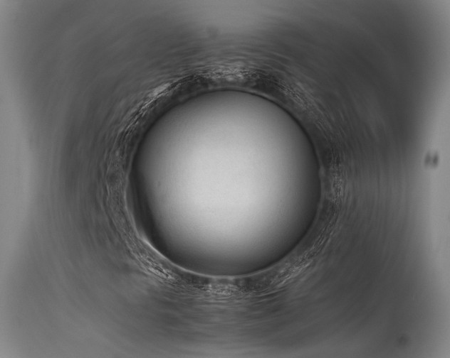X0000115641297200911101507