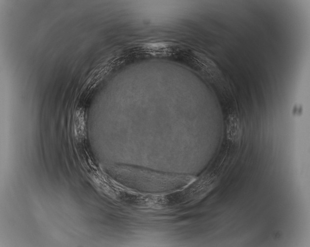 X0000115641298200911101507