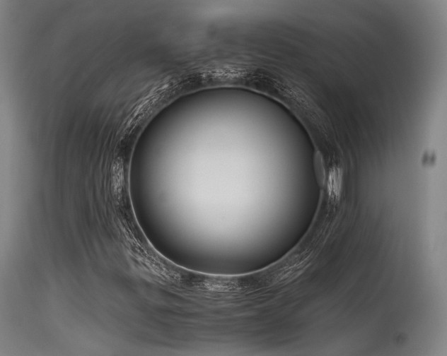 X0000115641299200911101507