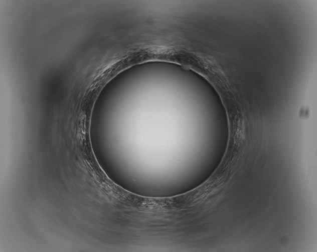 X0000115641301200911101507