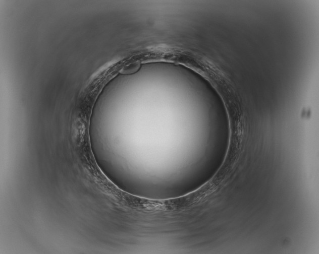 X0000115641302200911101507