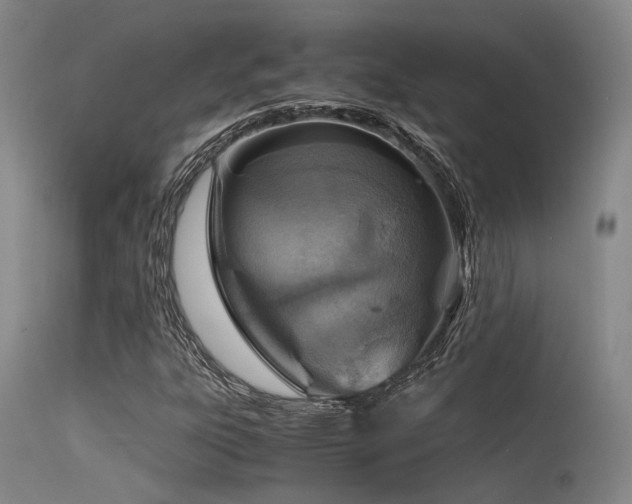 X0000115641303200911101507