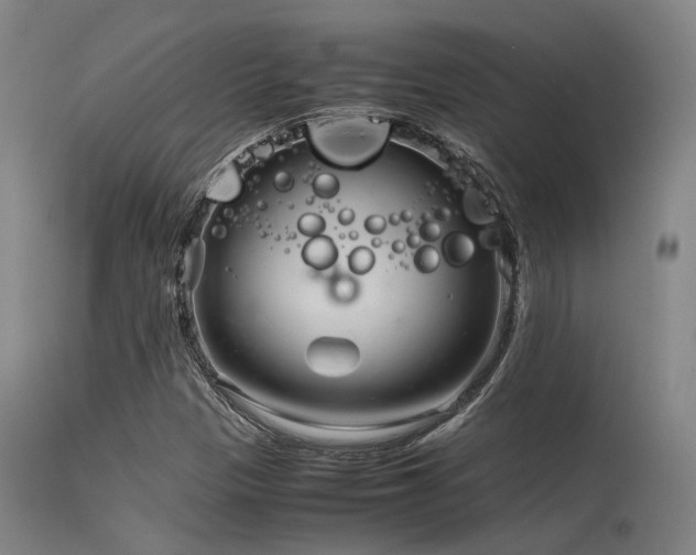 X0000115641305200911101507