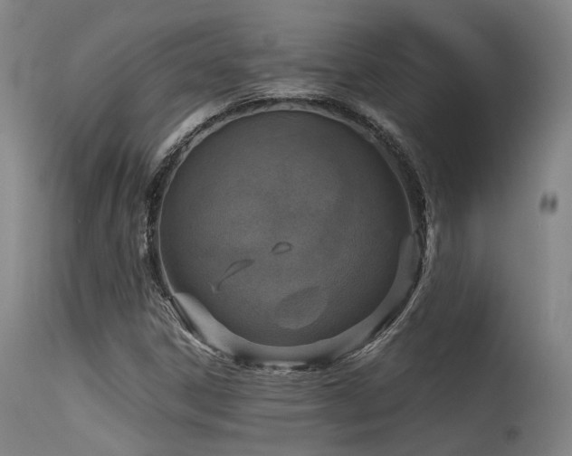 X0000115641306200911101507