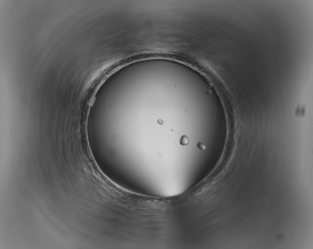 X0000115641307200911101507