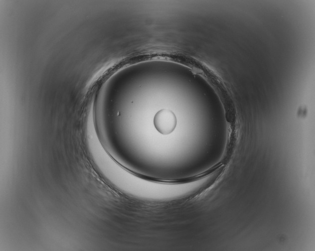 X0000115641309200911101507