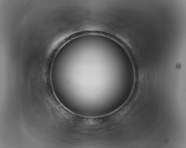 X0000115641311200911101507