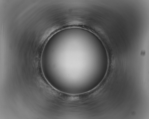 X0000115641313200911101507
