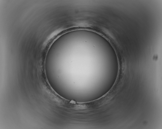 X0000115641315200911101507