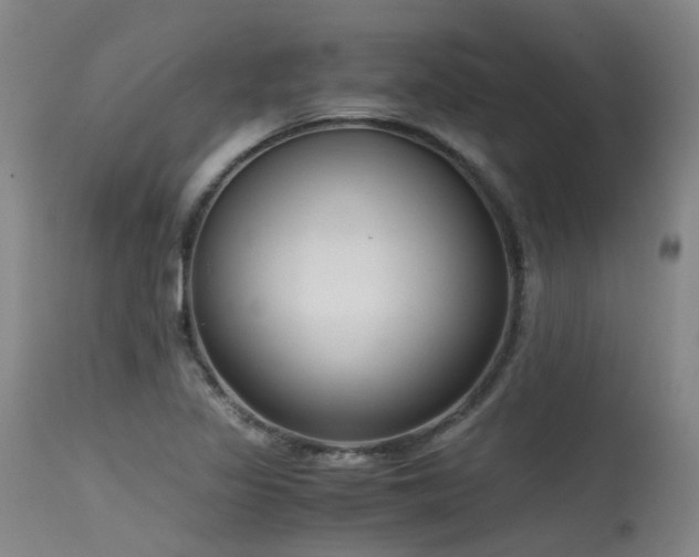 X0000115641317200911101507
