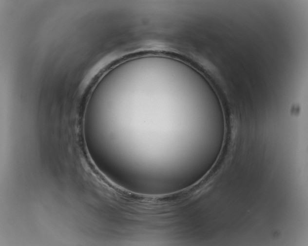 X0000115641318200911101507