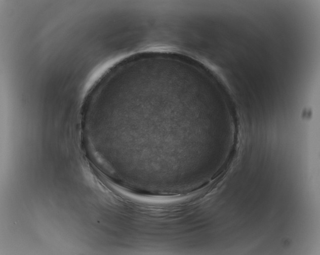 X0000115641319200911101507