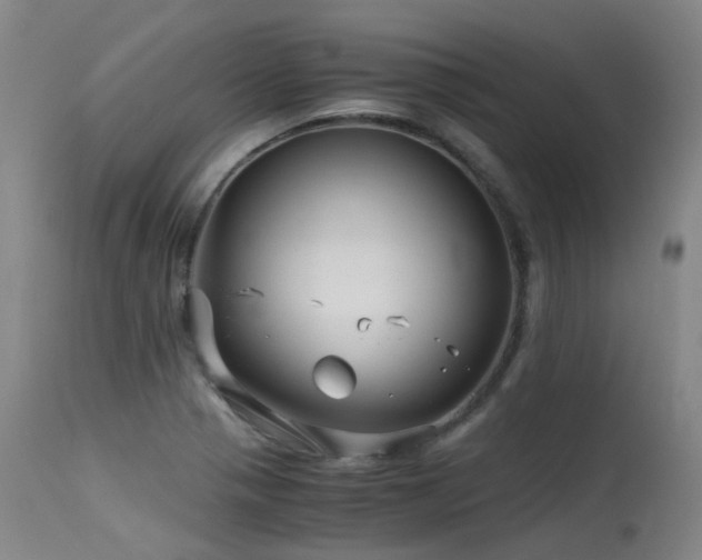X0000115641321200911101507