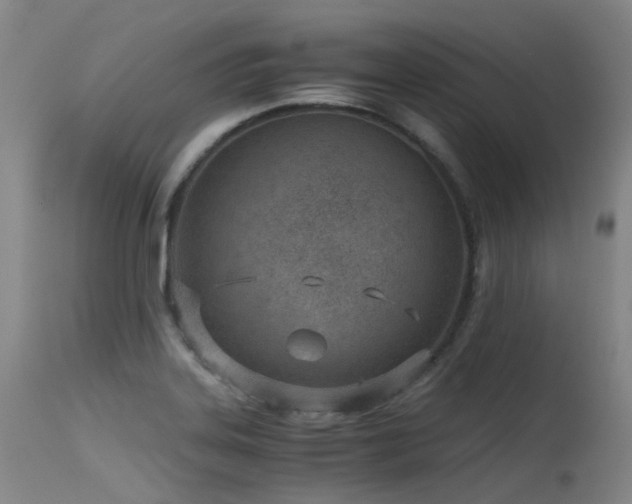 X0000115641323200911101507