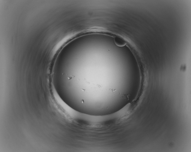 X0000115641325200911101507