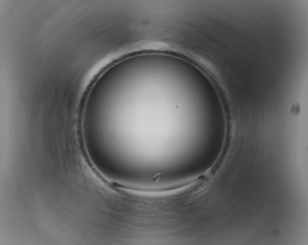 X0000115641326200911101507