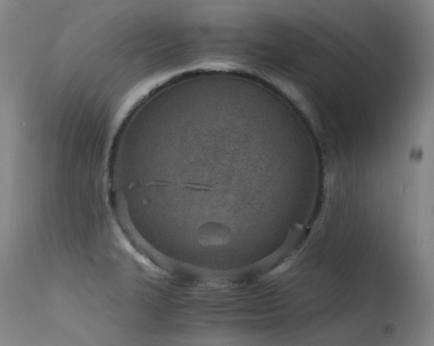 X0000115641327200911101507