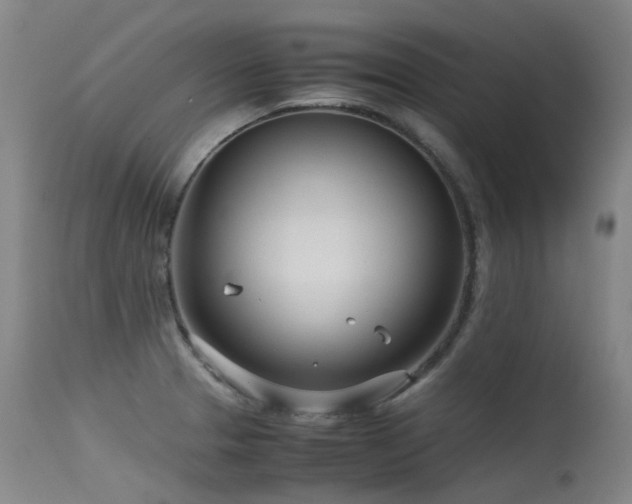 X0000115641329200911101508