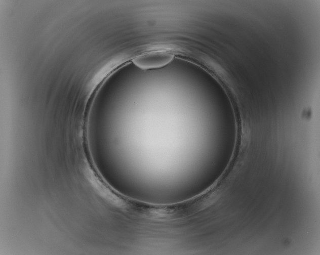 X0000115641330200911101508