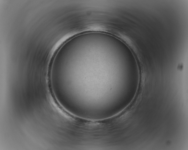 X0000115641331200911101508